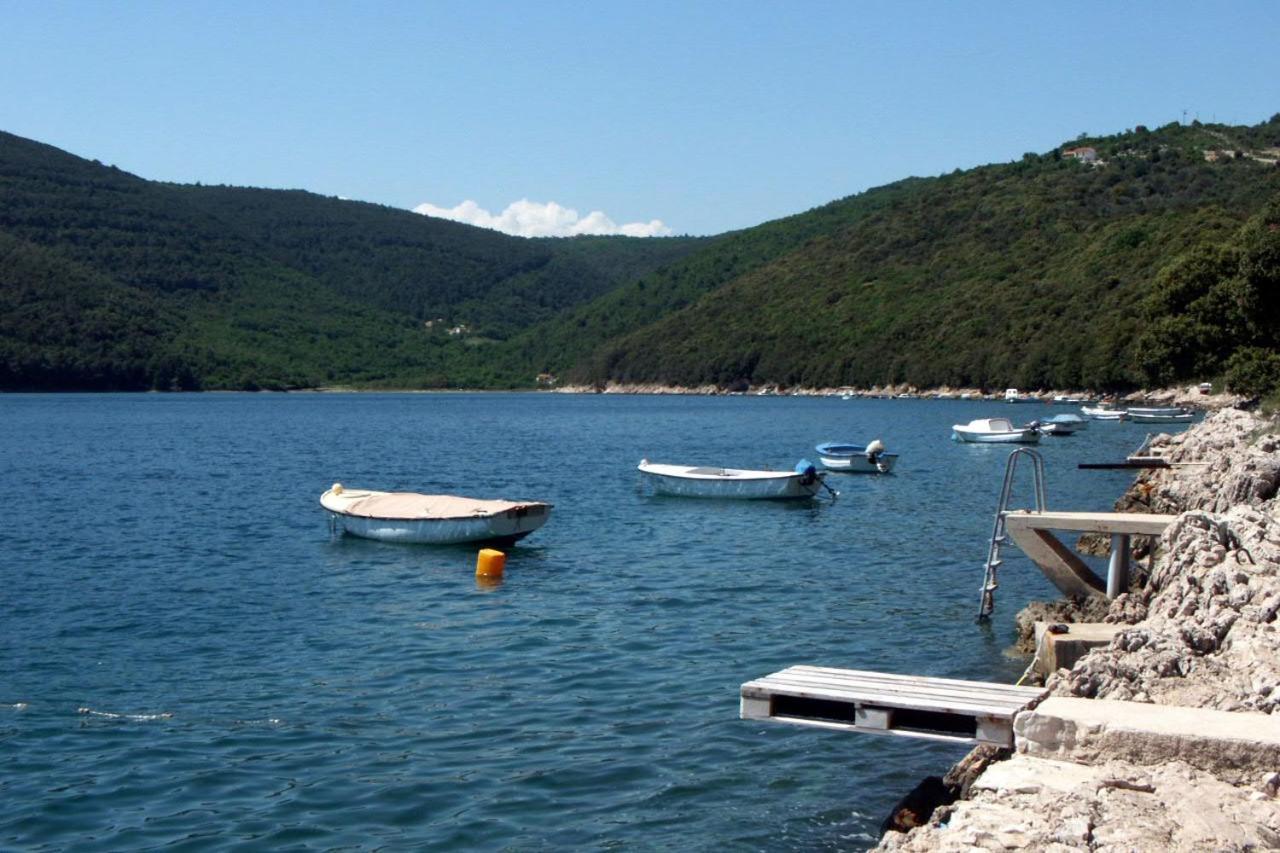 Apartments By The Sea Duga Luka - Prtlog, Labin - 2367 Drenje  Exterior photo